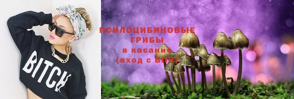 амф Алзамай