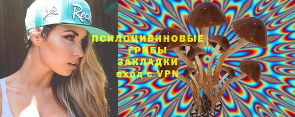 гашик Алексеевка