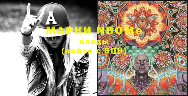 гашик Алексеевка