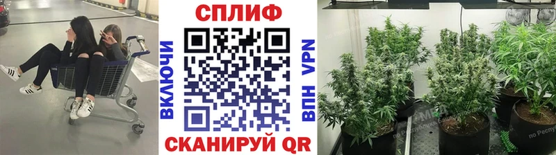 Шишки марихуана SATIVA & INDICA  Игра 